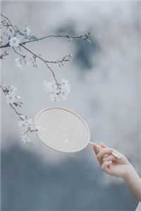 师尊娶妻时，我引天雷为他庆贺