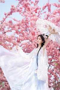 宁碎不悔