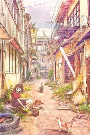 错爱的心跳