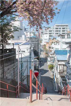 将军未婚夫丢下我假死后，我入宫为后了