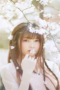 美人宴