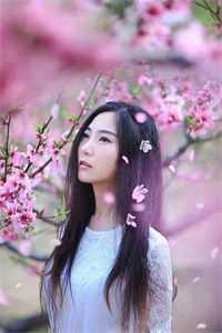 兰因絮果，爱恨全如玉碎肖风行谢长乐