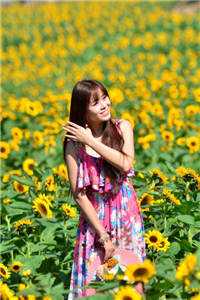 姜平夏高松余写的小说青山映白头，槐花洒满肩全文阅读