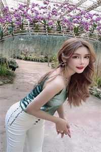 陈洋顾阳的小说神级大状师阅读
