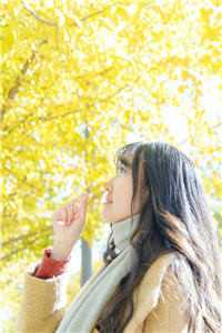 胖胖贵妃也倾城