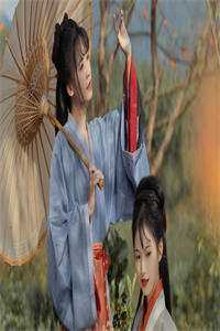 武道剑吟