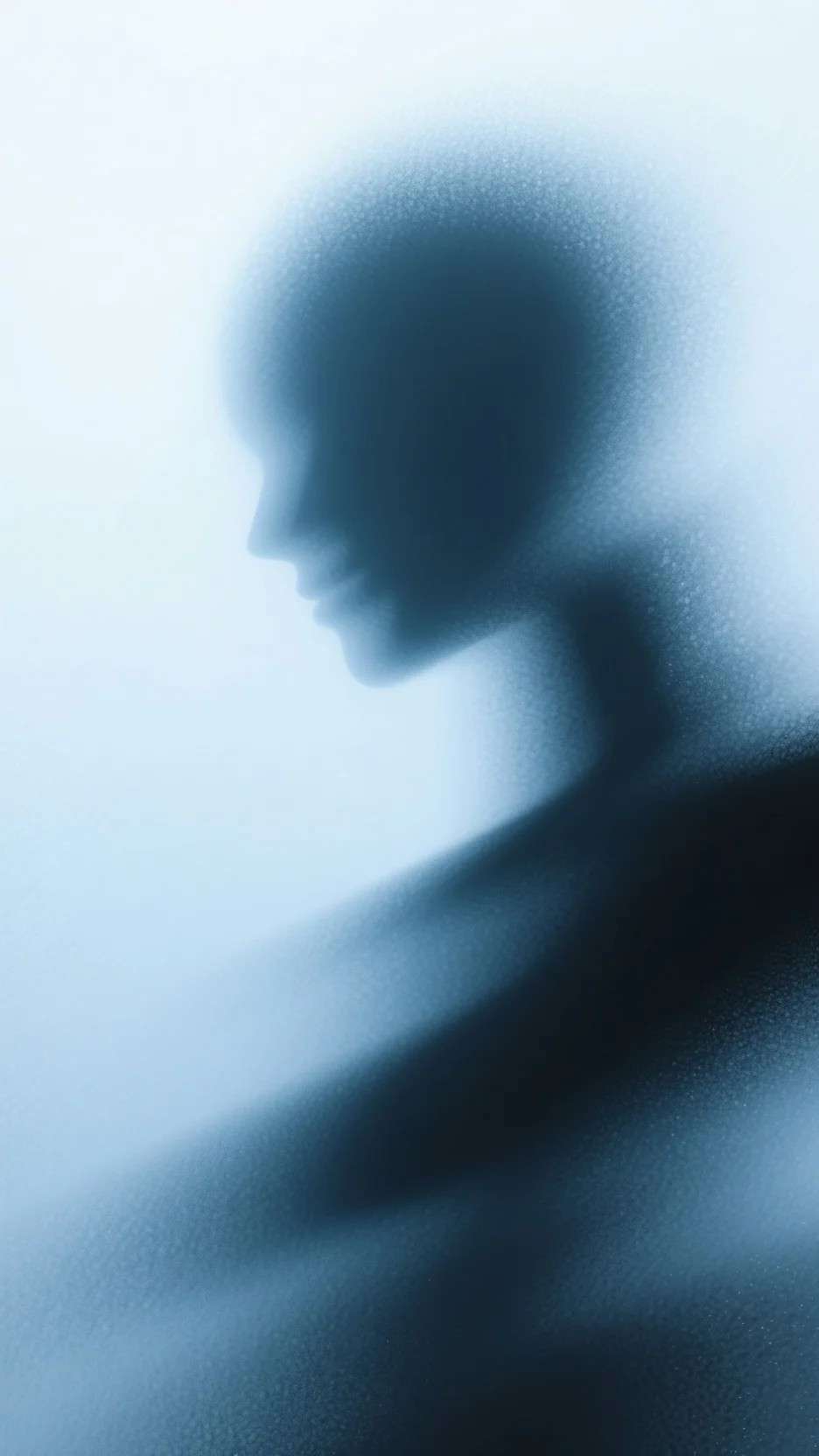 我在古代是个呆傻福女