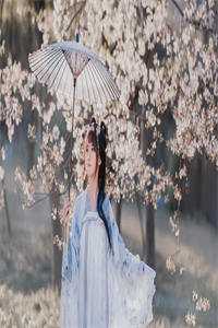 签到十亿,我让全网女主播空降