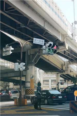公主请爱我