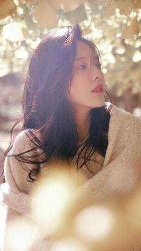 大帅今天又在努力讨好夫人全文