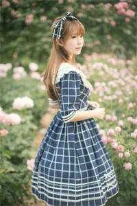 强婿归来全集