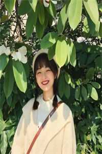 医婿归来