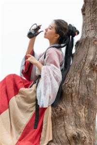 狗粮凶猛：老婆万万岁