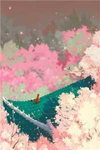 姜妙沈宴清