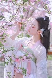 全集阅读霸绝九州