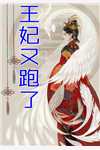 小说全集政世间