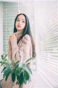 全文阅读我赶紧去死的人