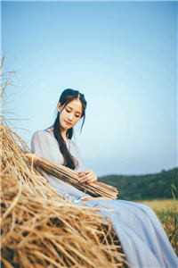 养蛇为祸免费阅读全集