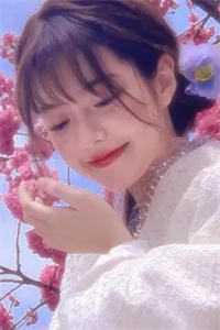 收徒就变强，打造万古第一神宗阅读全集