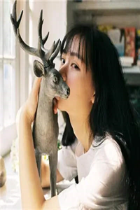 将军府九代得女,皇子抢着入赘大结局
