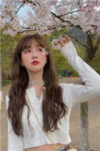 婚后独宠:少夫人貌美如花精品小说