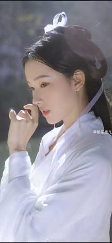 精选小说愿得余生半日欢
