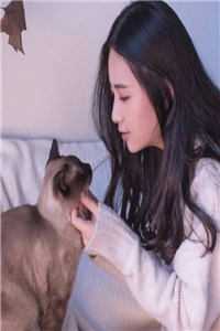 精品小说仕途狂飙