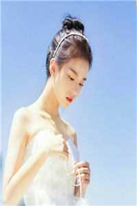 休夫后，全京城贵公子都求她再嫁