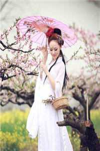 全文阅读丑妃又横又嚣张，还野性难训