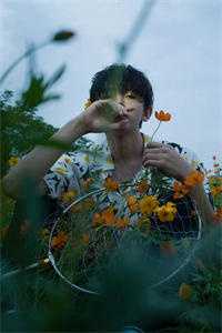 占尽风流全章节