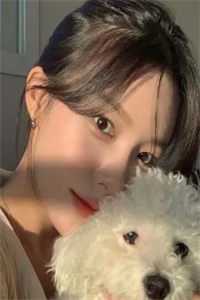 小说芳心环游
