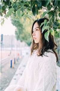 畅销巨作不爱江山爱美人