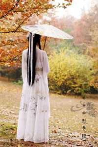 我那年高三全章节阅读