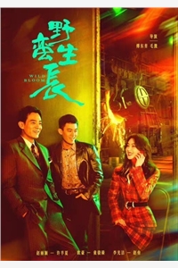 全集穿书后，专心搞事业的我人设崩了