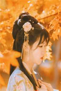 老婆直播鉴宝，曝光我的仙人身份全集小说