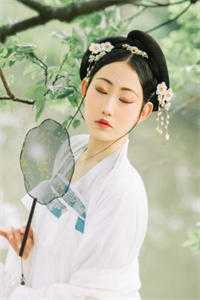 快穿：绿茶女王小说全集