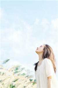 全本小说重生娇妻要离婚，他疯魔了