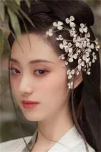 热门小说甜宠：我的粘人小狼狗