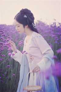 我见夫人多妖娆优质全文阅读