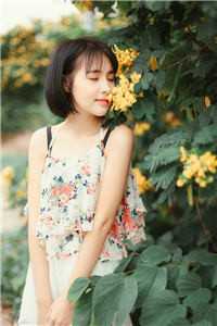 全本小说阅读欺香