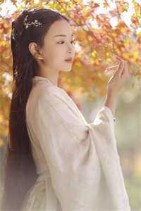 精选小说推荐太子妃她柔美可人：冷酷太子掌中宝