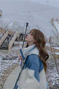 全集小说阅读东宫雪