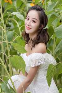 追妻火葬场！豪门大佬的在逃孕妻全集阅读