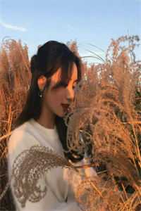 青楼女子要从良，侯爷首辅请靠边畅读精品小说