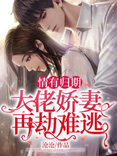 伊洛纳：大剑畅读全文版